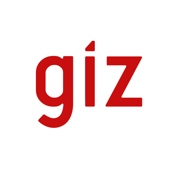 GIZ (Deutsche Gesellschaft für Internationale Zusammenarbeit )